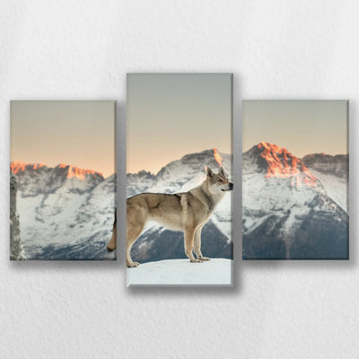 LW-060T040