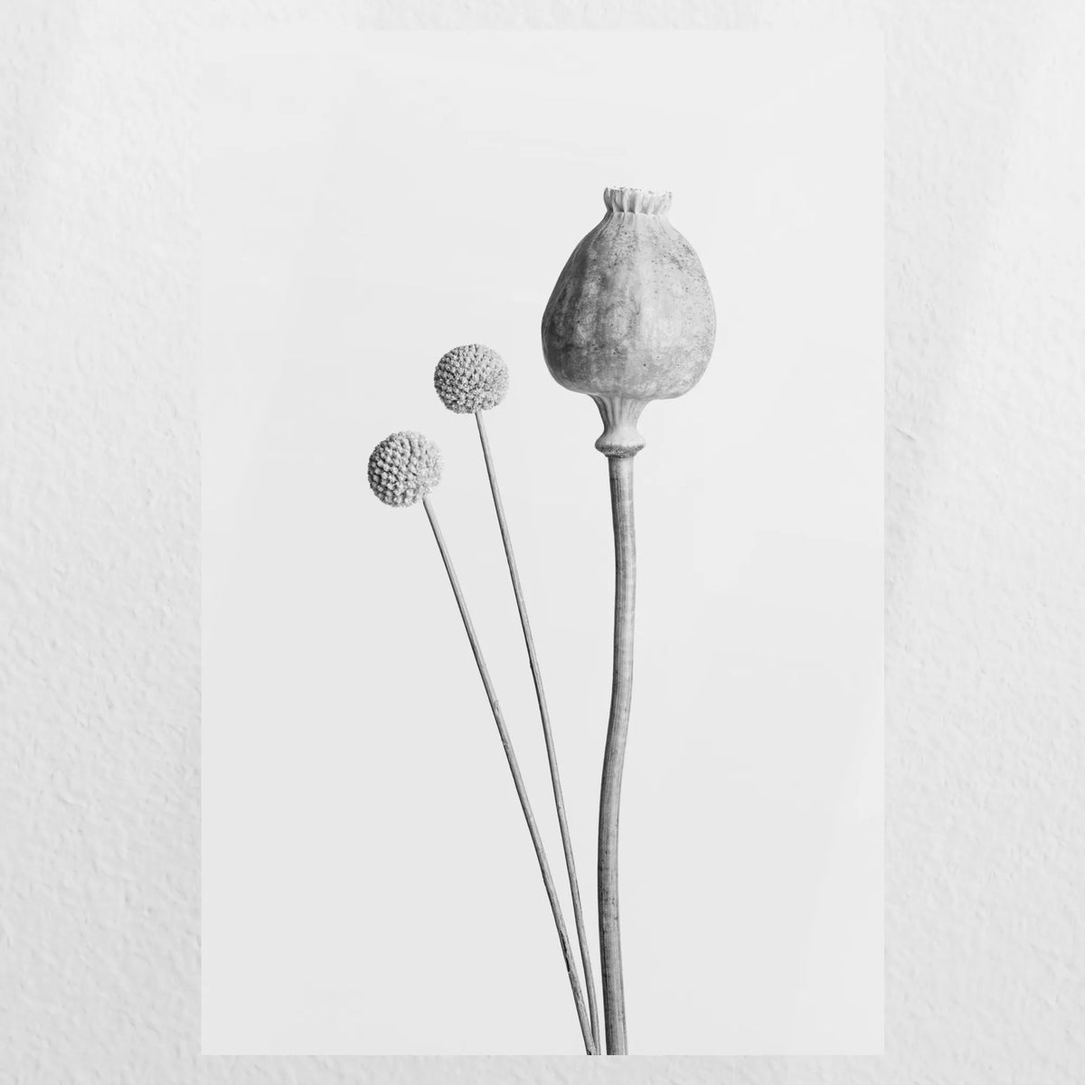 PO-050W075