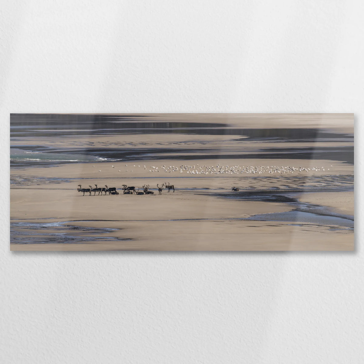 AL-100P040