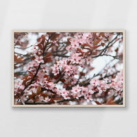 PN-093W062