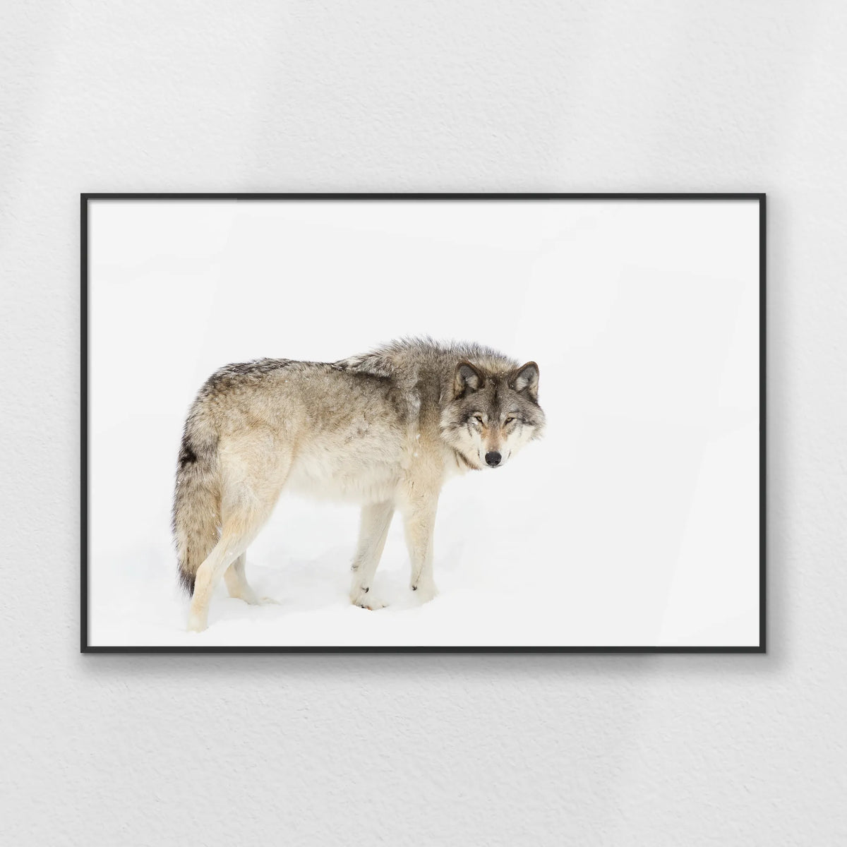 PB-093W062
