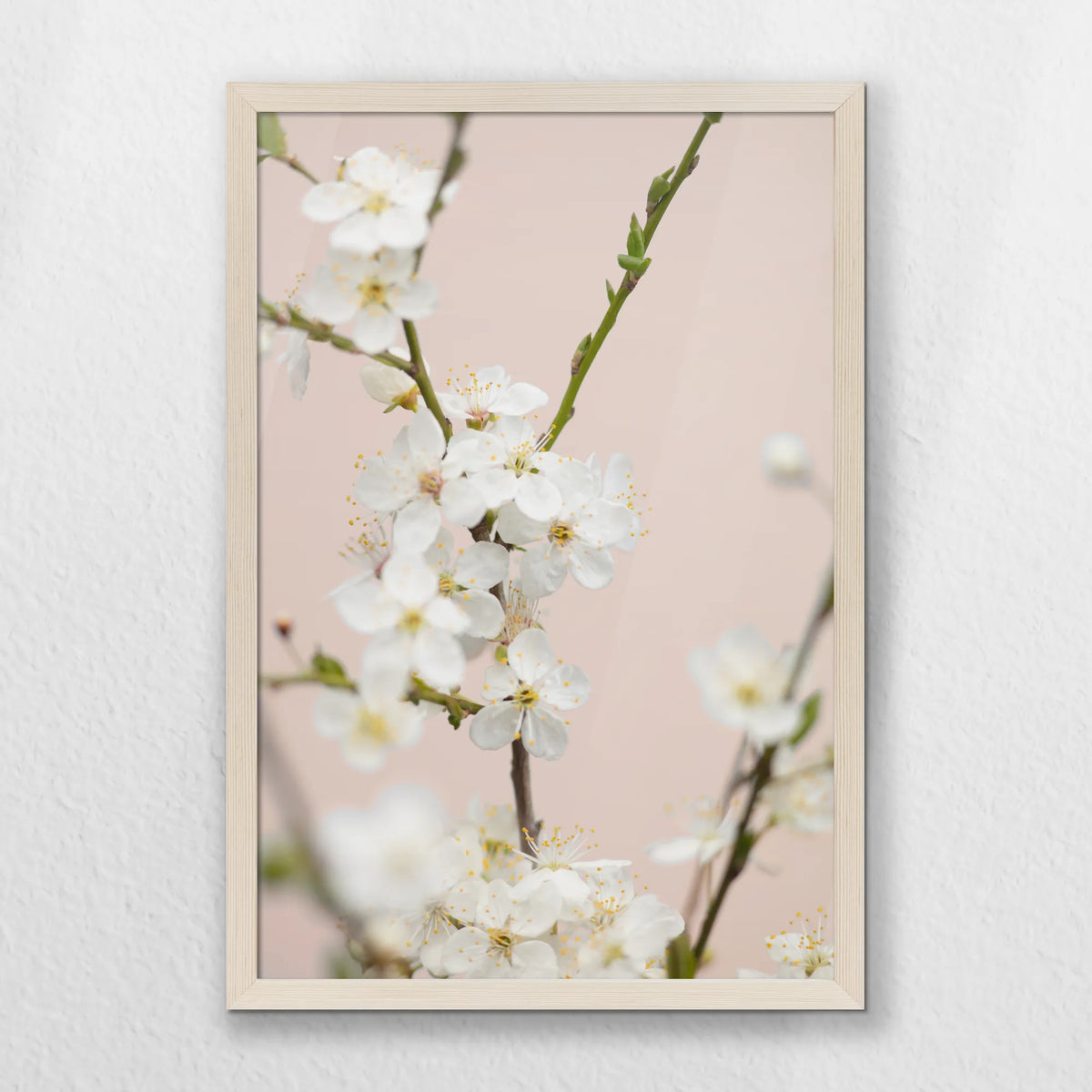 PN-040W060