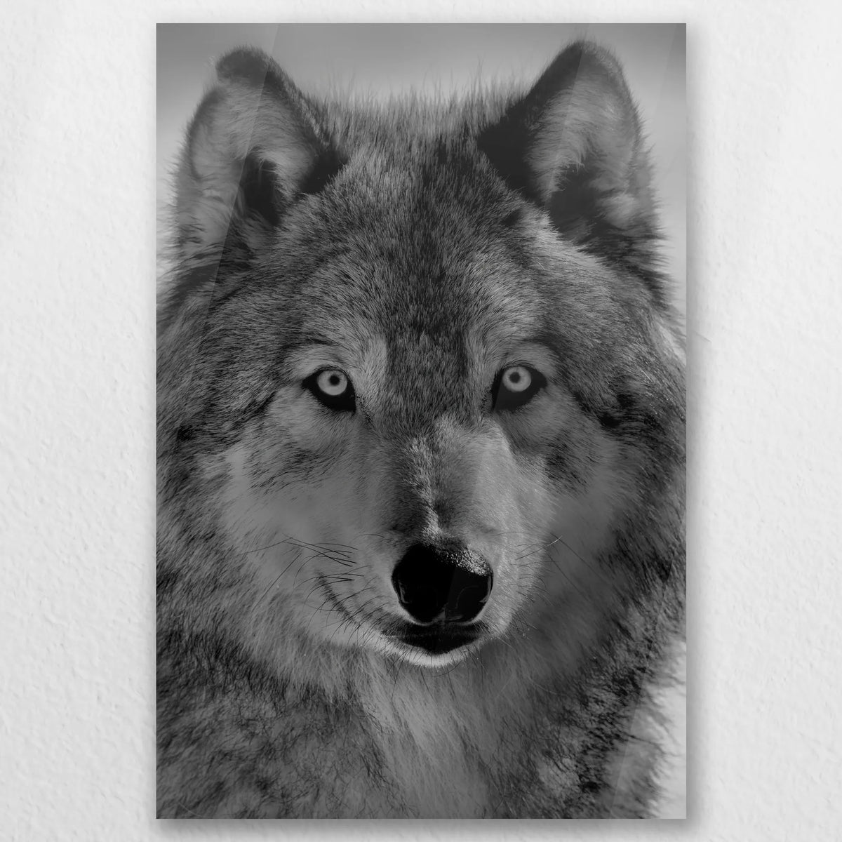 AC-020W030