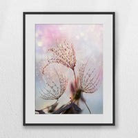 PBP040W050