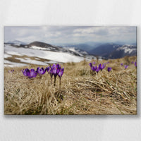 LW-060W040