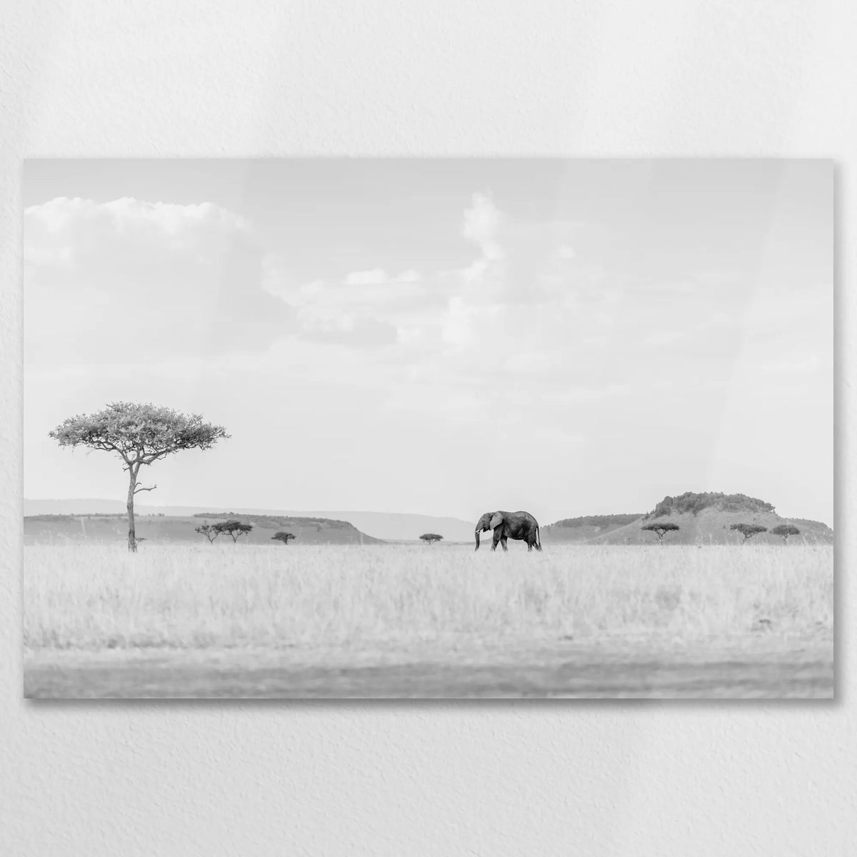 AL-075W050