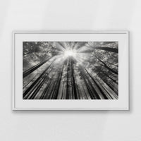 PWP093W062
