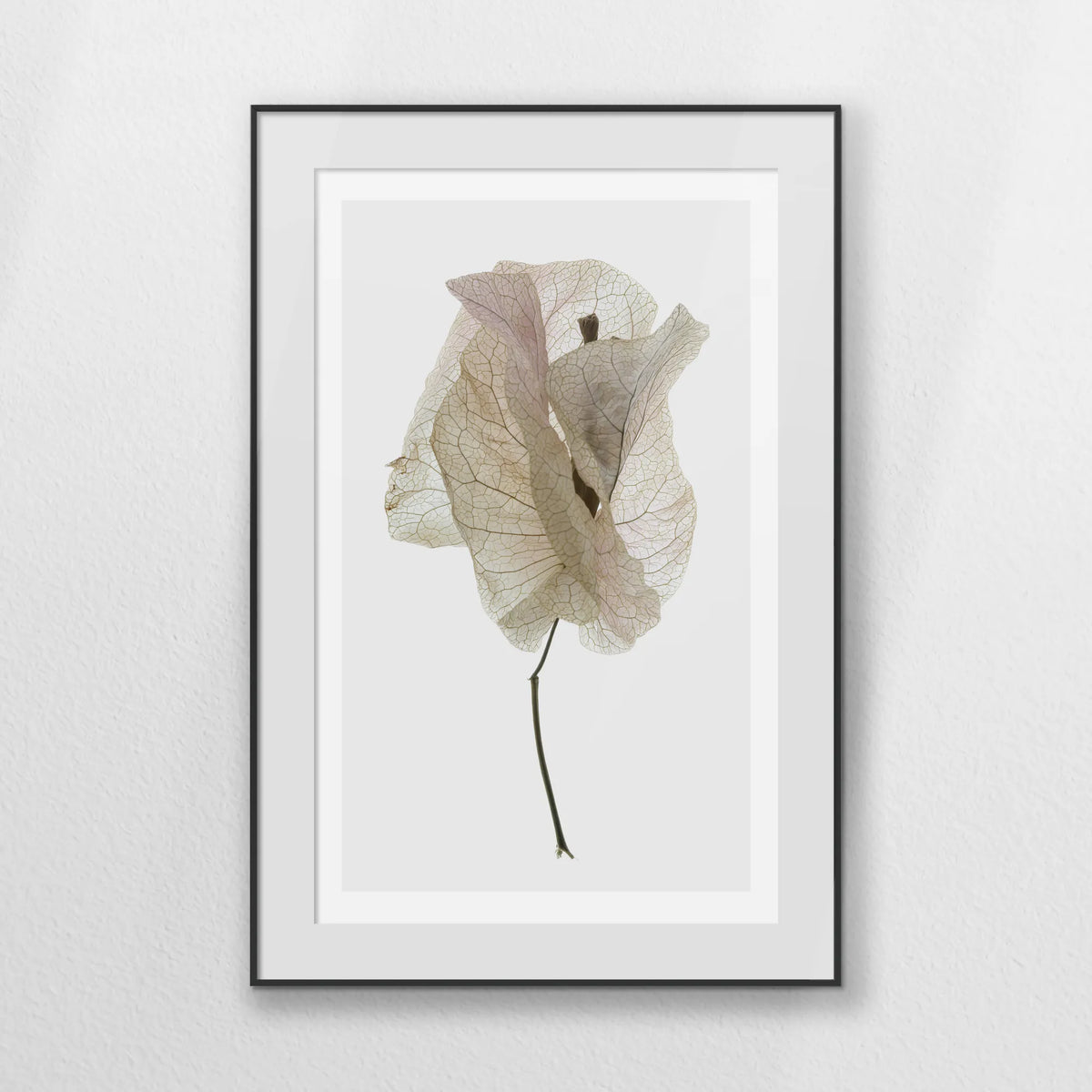 PBP070W100