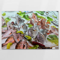 AL-075W050