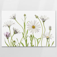AC-090W060