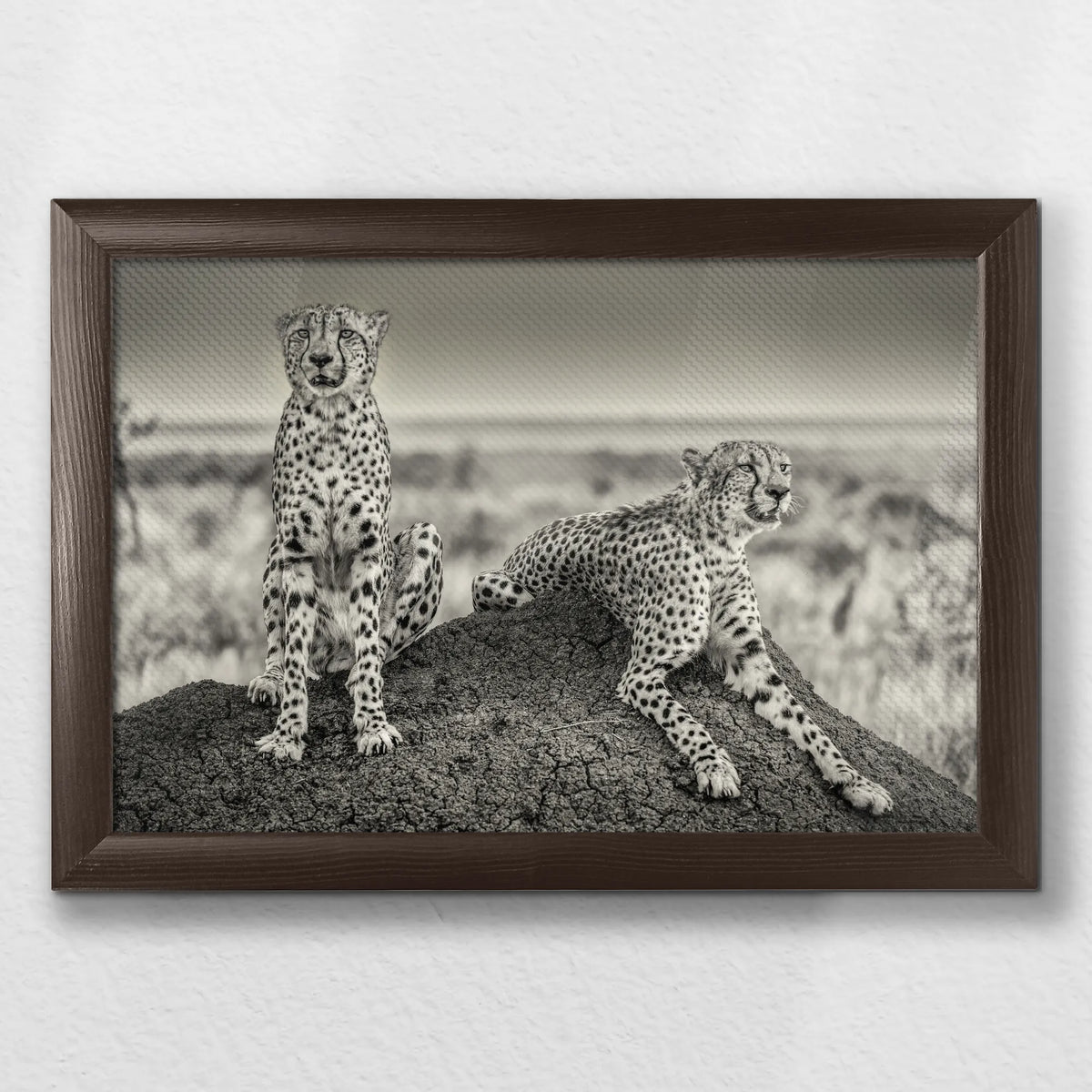 LWN030W020