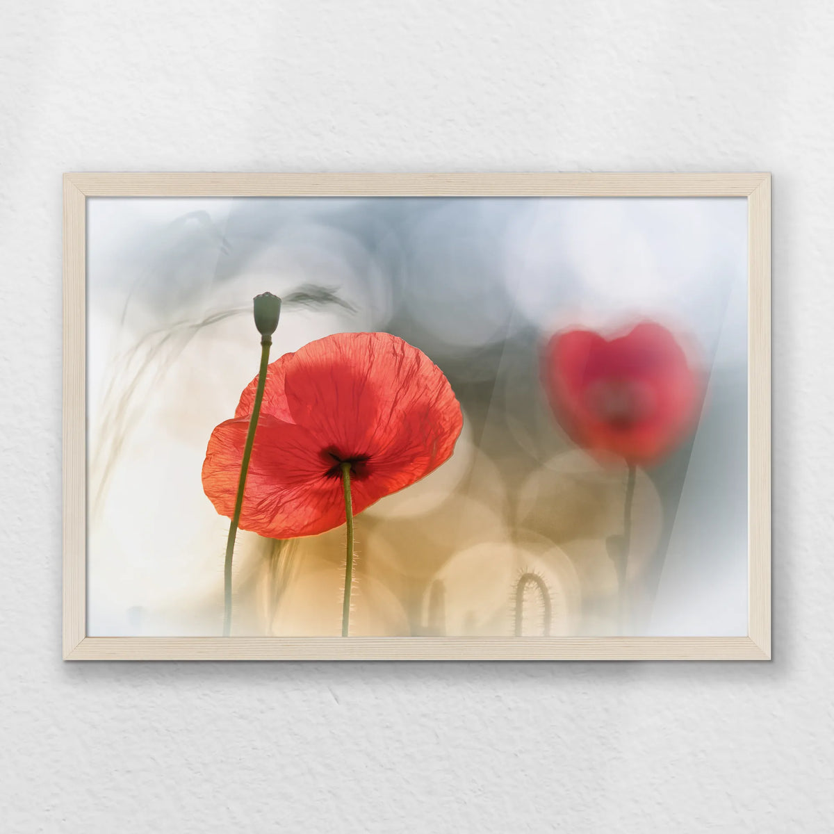 PN-060W040