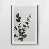 PBP080W120