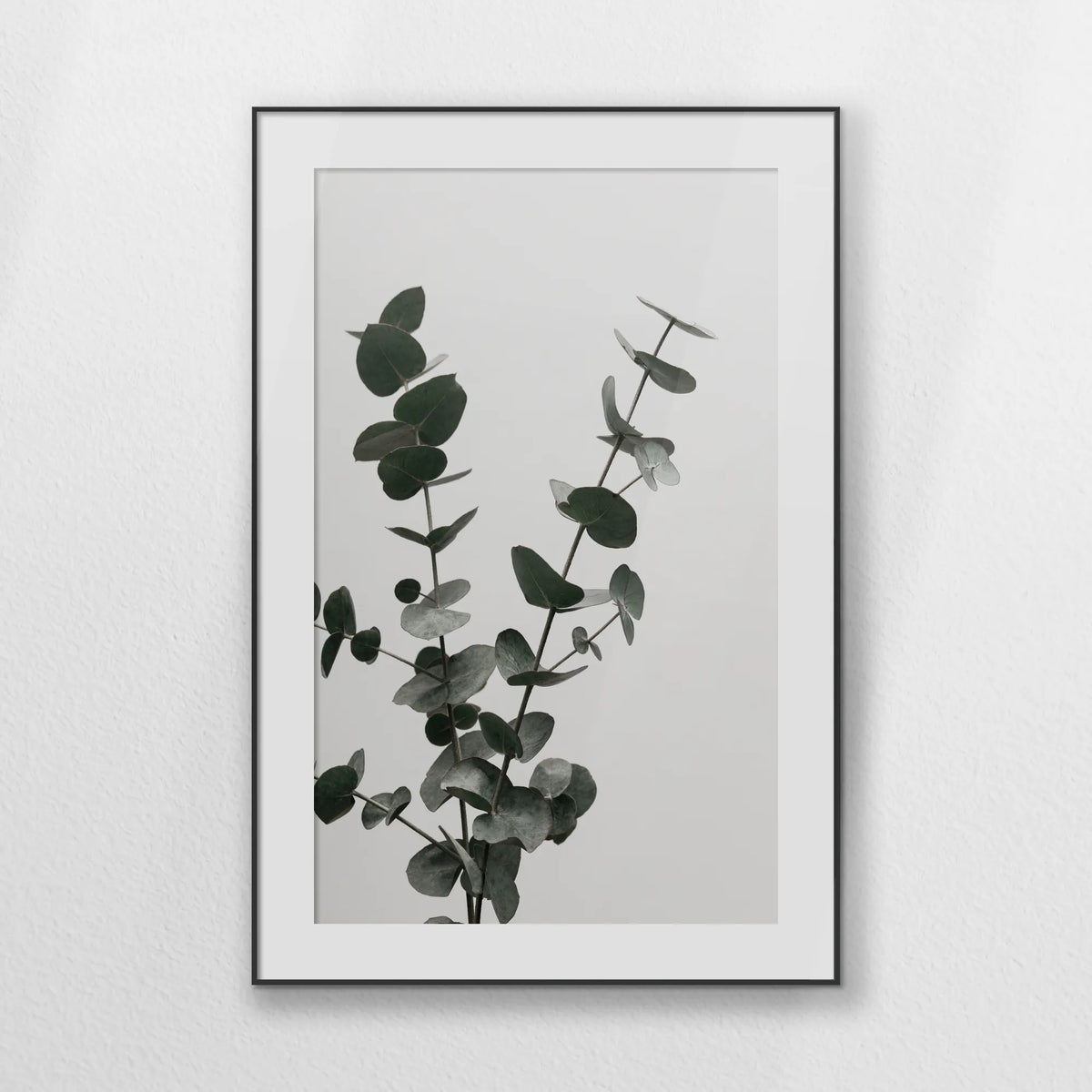 PBP080W120