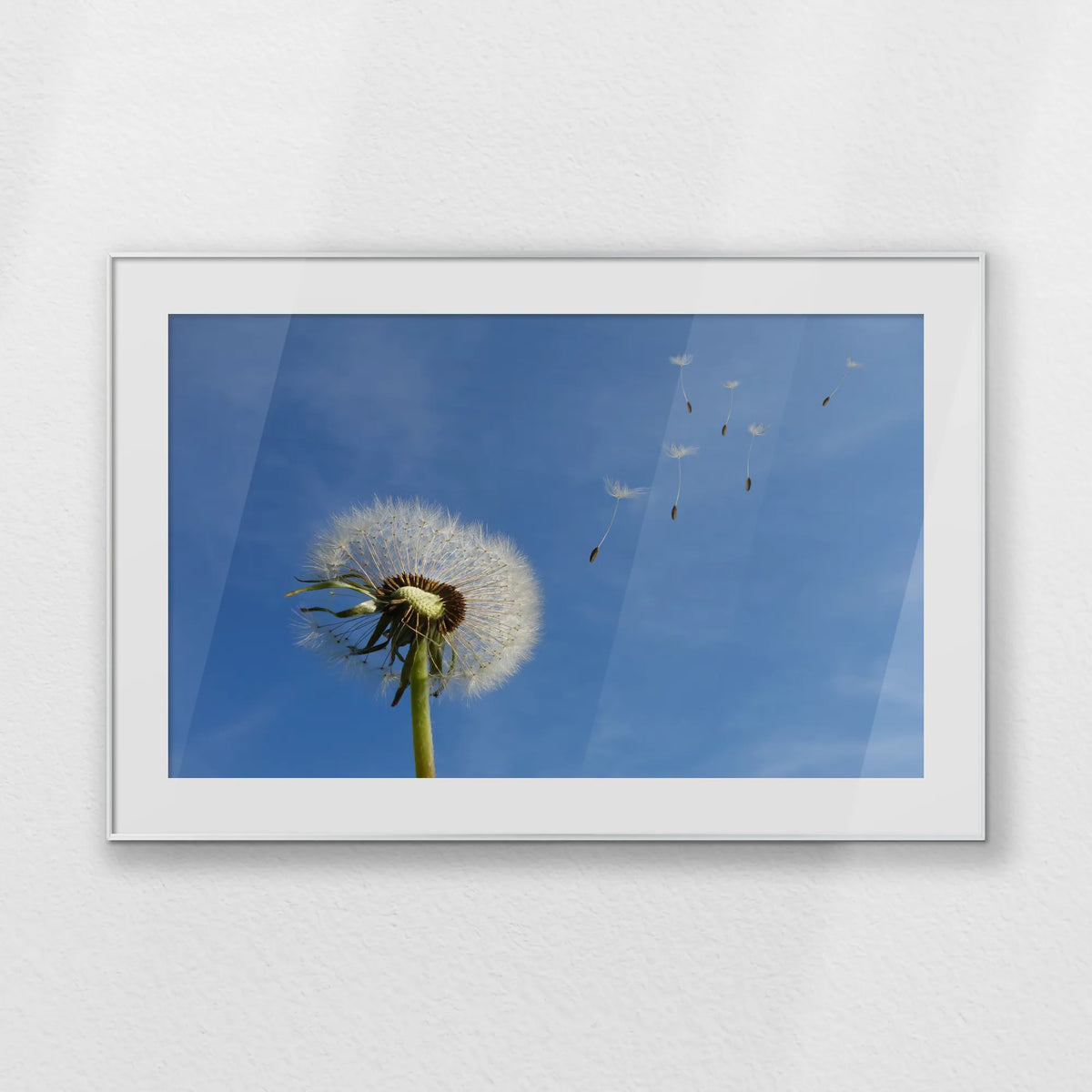PSP120W080