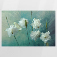 PO-120W080