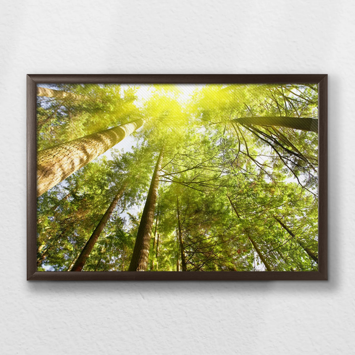 LWN060W040