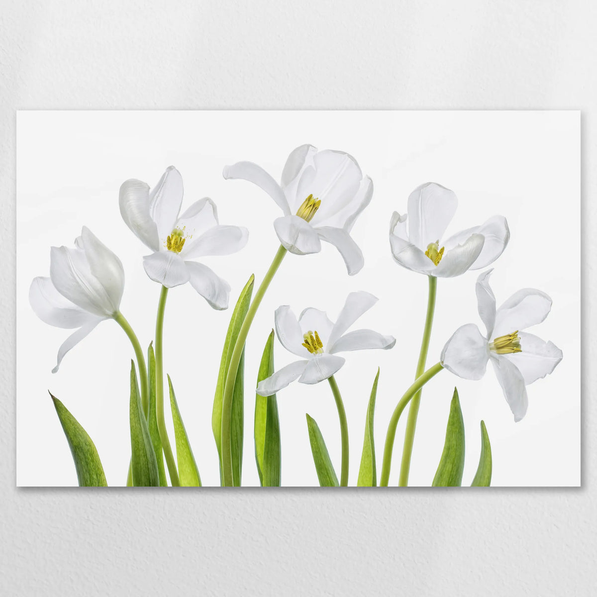 AL-120W080