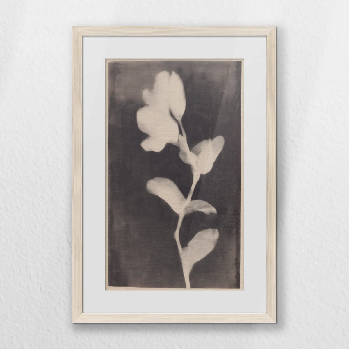 PNP040W060