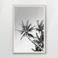 PN-062W093