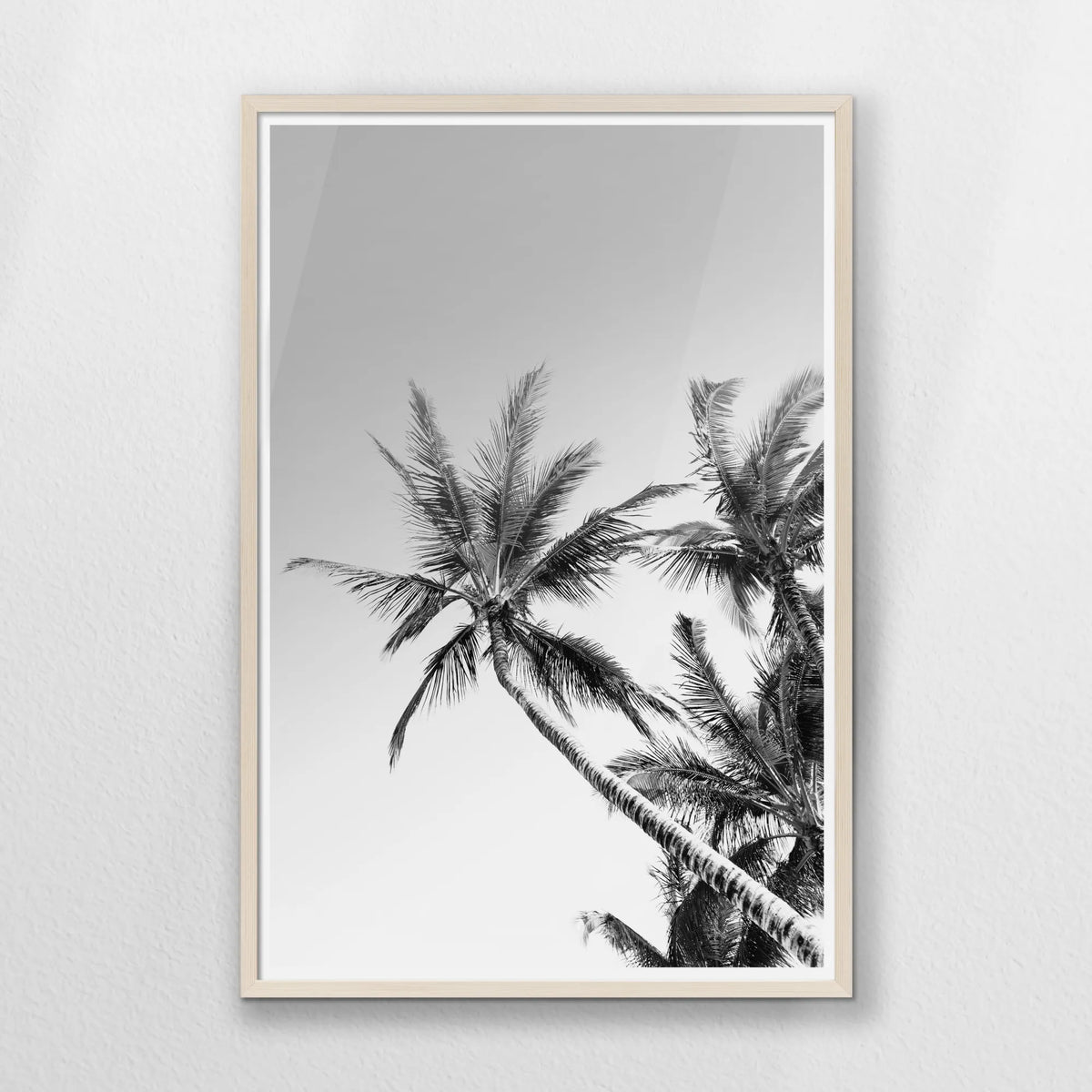 PN-062W093