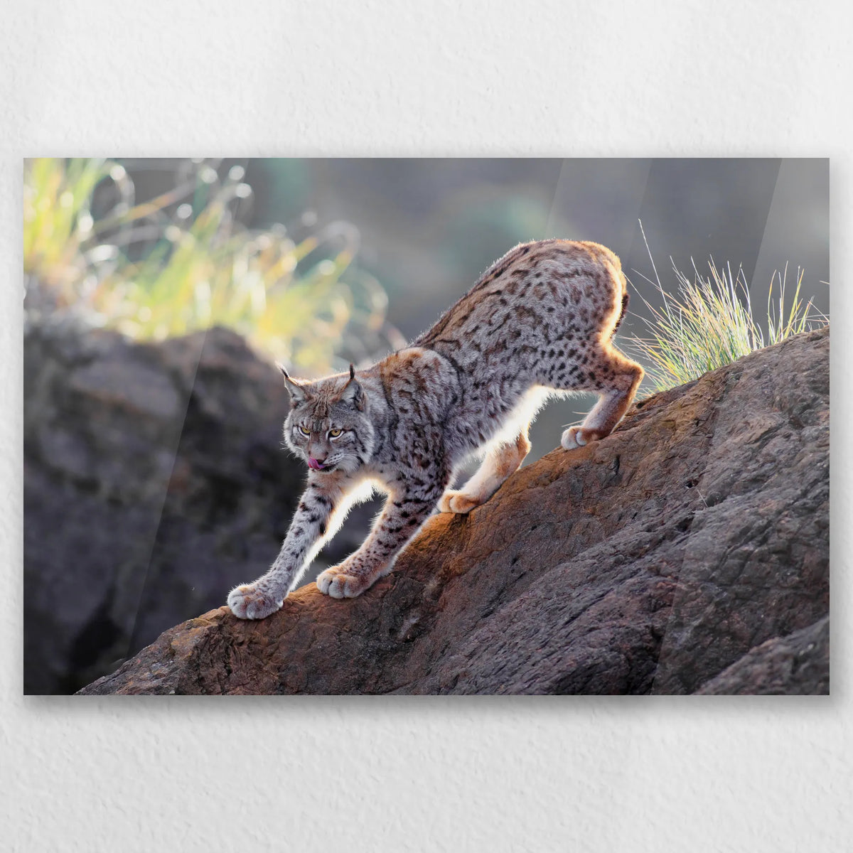 AC-060W040