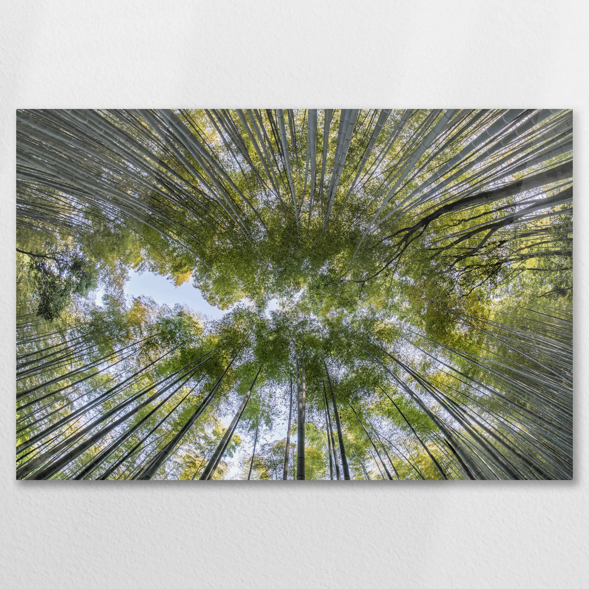 AC-075W050