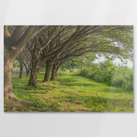 AL-075W050