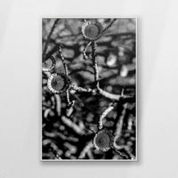 PS-062W093
