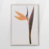 PN-062W093