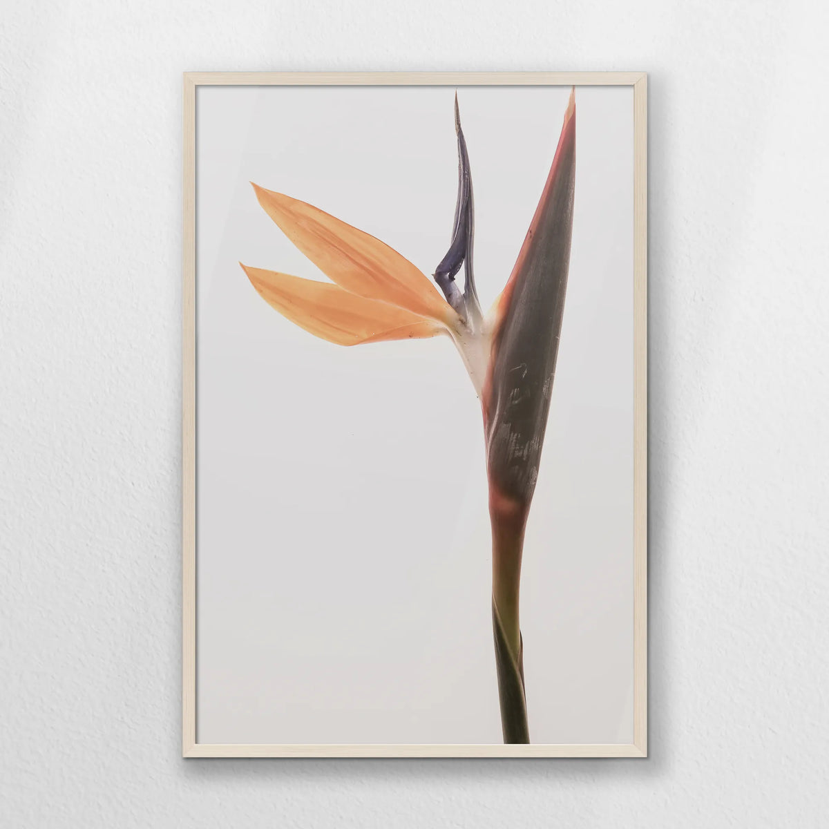 PN-062W093
