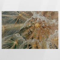 PO-090W060