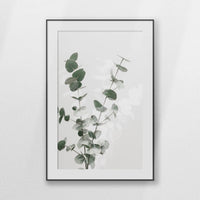 PBP080W120