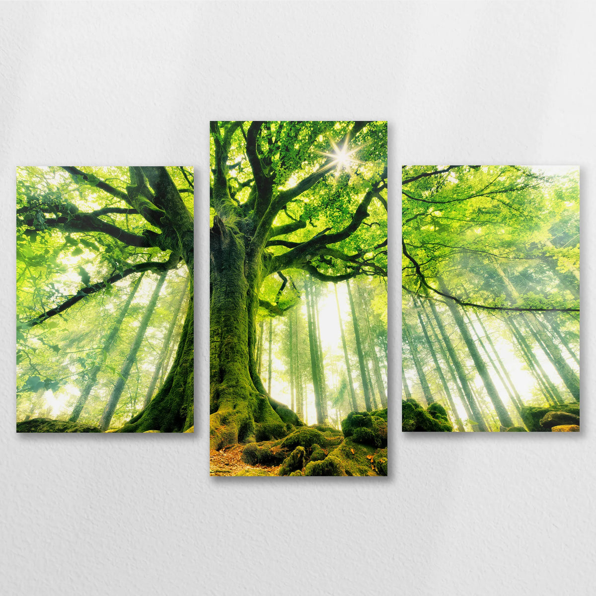 AL-090T060