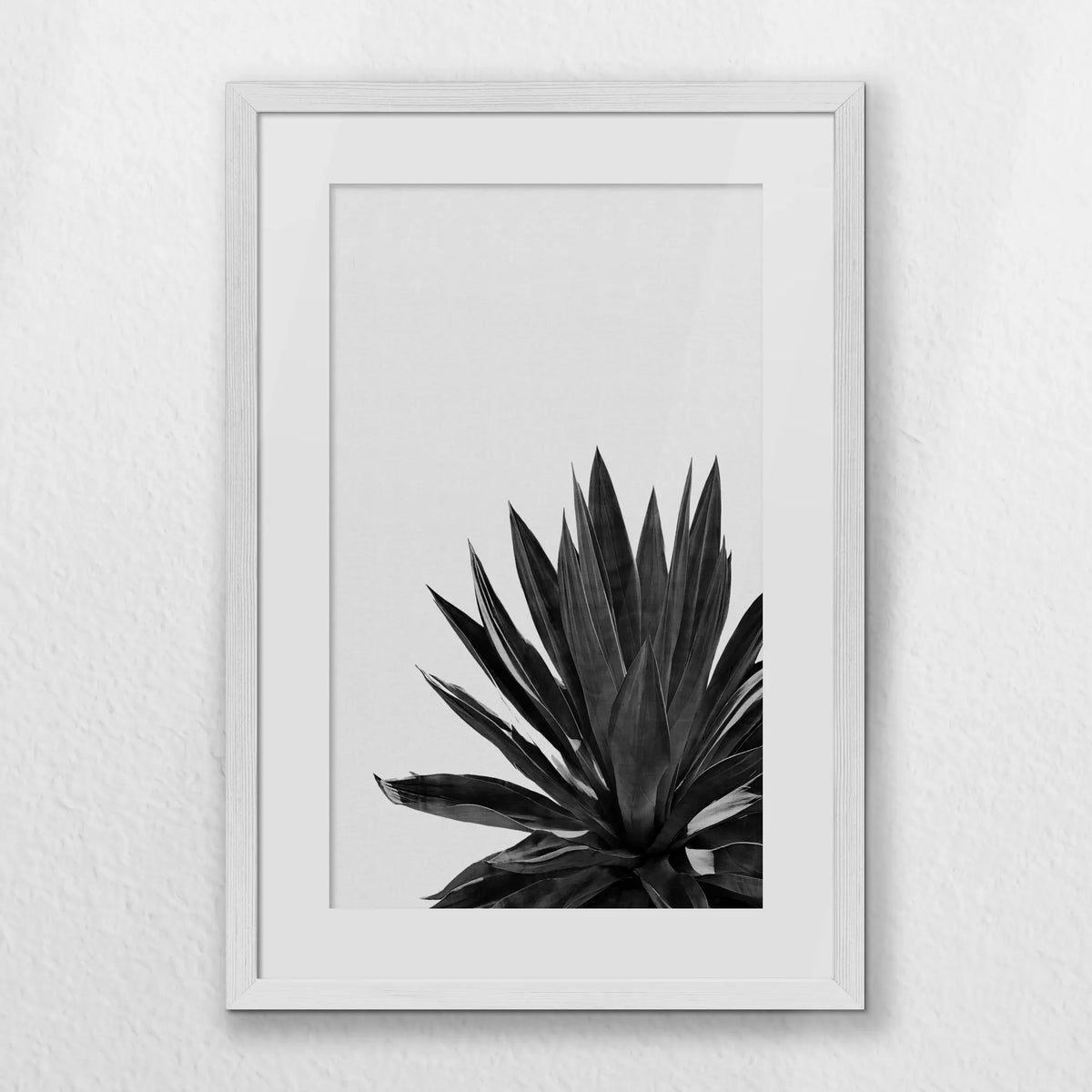PWP040W060