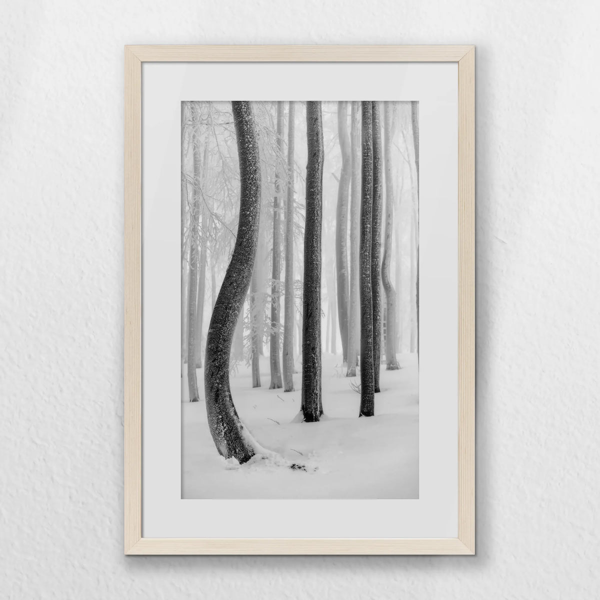 PNP040W060