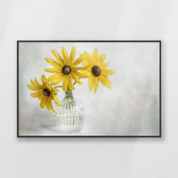 PB-093W062