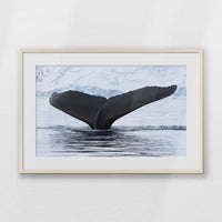 PNP093W062
