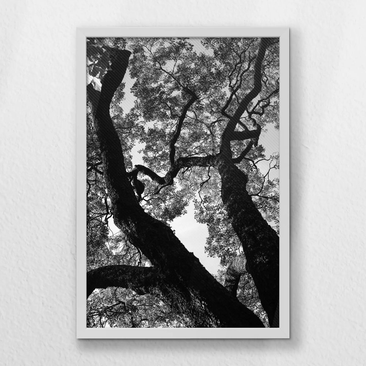 LWW040W060