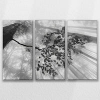 LW-090R060