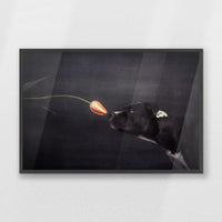 PK-093W062