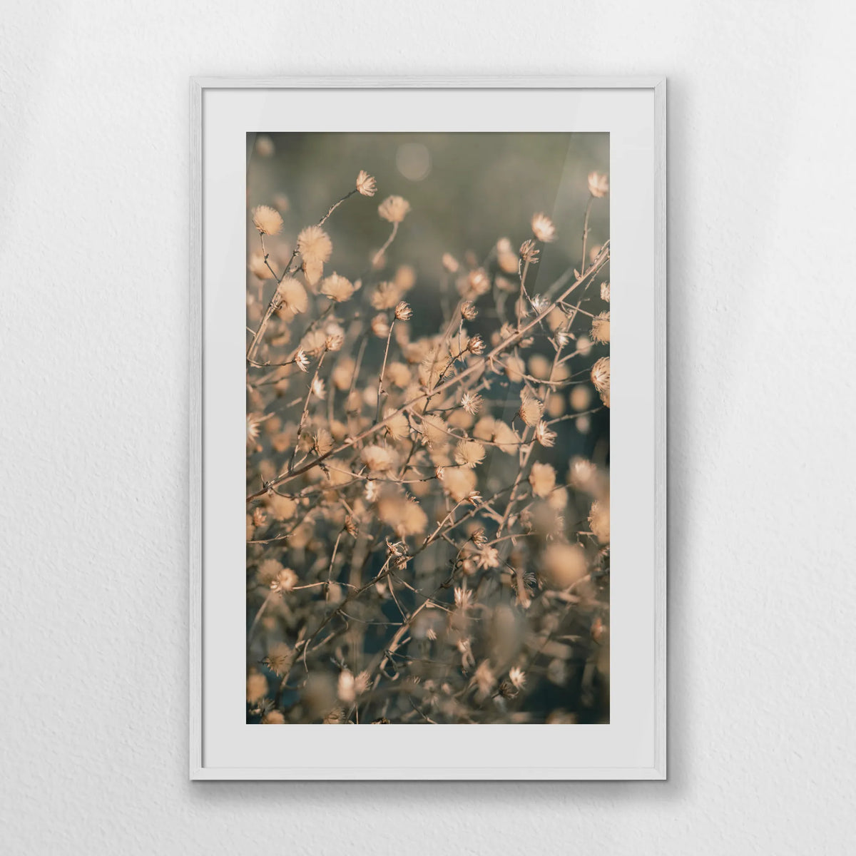 PWP070W100