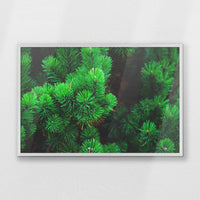 PW-093W062