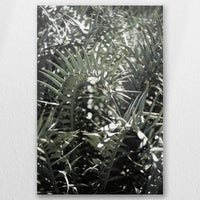 AC-030W045