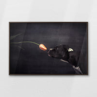LWN120W080