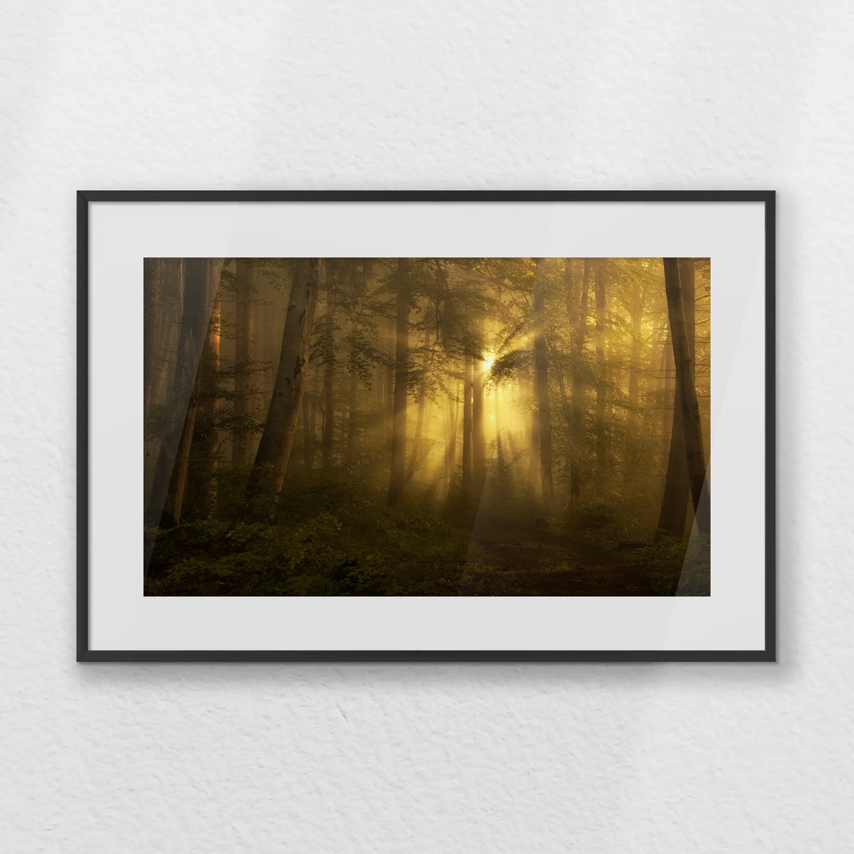 PBP060W040
