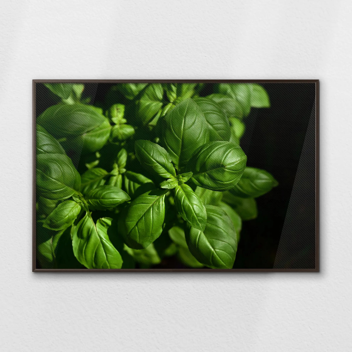 LWN120W080