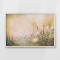 PN-093W062