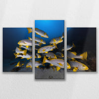 LW-090T060