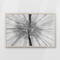 PN-093W062